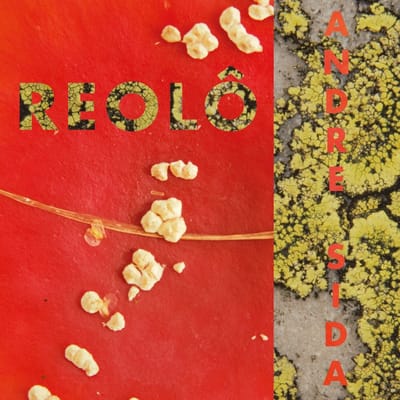 Reolô - Andre Sida (LP)