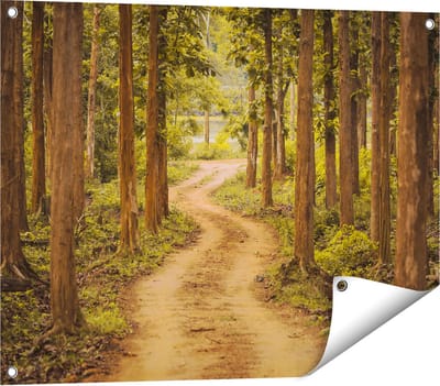 Gards Tuinposter Pad in het Bos met Bomen - 80x60 cm - Tuindoek - Tuindecoratie - Wanddecoratie buiten - Tuinschilderij