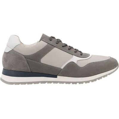 Ara 11-26901 gino