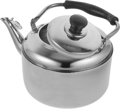 Roestvrijstalen waterkoker - Fluitketel Theepot - Koffie en Thee - Luid Fluit Signaal - 3 Liter Capaciteit - Zilver