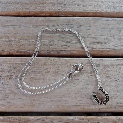 GoedeDoelen.Shop | Ketting Donja | Geluksketting | Ketting Met Hoefijzer | Paardenwelzijn | Dierenwelzijn | Cadeautje | Wellness-House