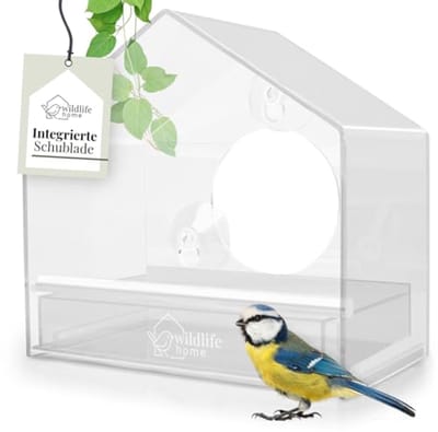 Transparant Vogelvoederhuis voor Wilde Vogels met Suction Cups en Verbeterde Luchtcirculatie