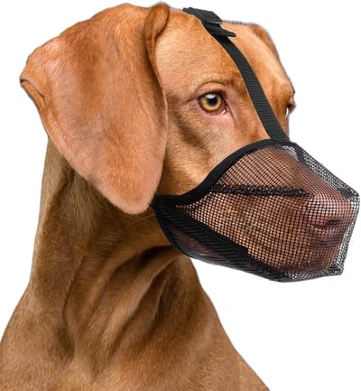 Hondenmuilkorf met ventilatiegaas, ademende muilkorf voor kleine tot middelgrote honden, de oplossing tegen bijten, afval eten van de straat te eten of kauwen (S, Zwart)