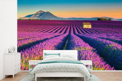 Behang - Fotobehang Lavendel - Berg - Bloemen - Breedte 600 cm x hoogte 400 cm