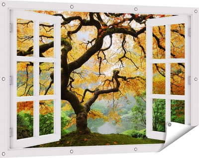 Gards Tuinposter Doorkijk Oude Knoestige Boom - 120x80 cm - Tuindoek - Tuindecoratie - Wanddecoratie buiten - Tuinschilderij