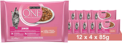 PURINA ONE Junior Kittenvoer nat met zalm & wortelen, (12 x 4 x 85g)