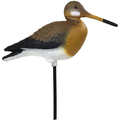 Zwarte staartbelbel Stepland (x36)