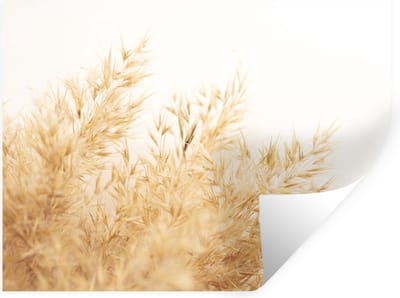 Muurstickers - Sticker Folie - Tarwe - Natuur - Zon - 40x30 cm - Plakfolie - Muurstickers Kinderkamer - Zelfklevend Behang - Zelfklevend behangpapier - Stickerfolie