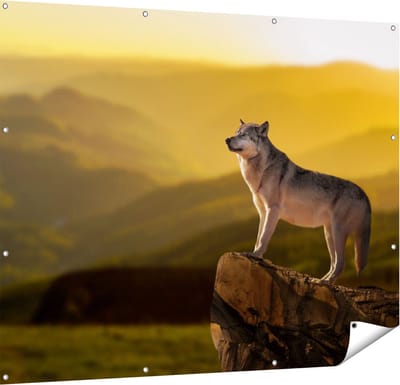 Gards Tuinposter Wolf op een Rots met een Heuvel Landschap - 150x120 cm - Tuindoek - Tuindecoratie - Wanddecoratie buiten - Tuinschilderij