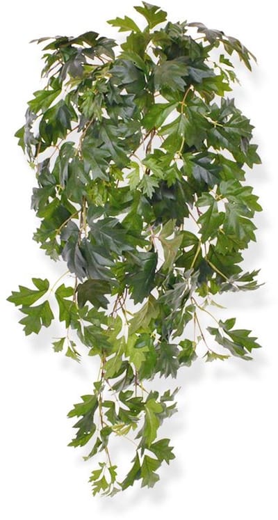Maxifleur Cissus Kunsthangplant - 80 cm - Groen