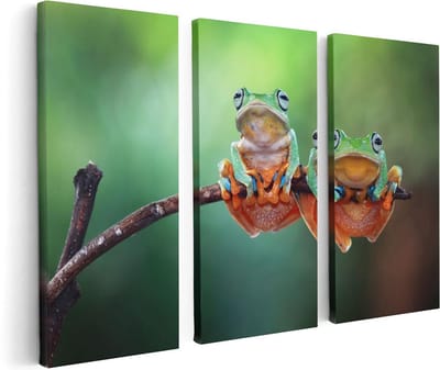 Artaza Canvas Schilderij Drieluik Twee Boomkikkers op een Tak - 120x80 - Foto Op Canvas - Canvas Print