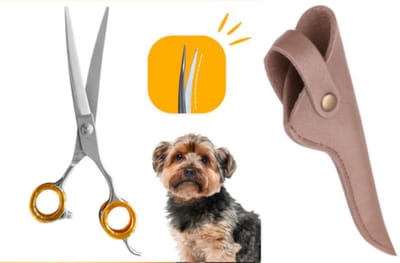 Professor Q – Professionele Up Gebogen Hondenschaar – Oranje – 7.5 Inch (19,5 cm) – Voor Langharige Honden – Inclusief Luxe Lederen Etui – 16,5 cm – Brons
