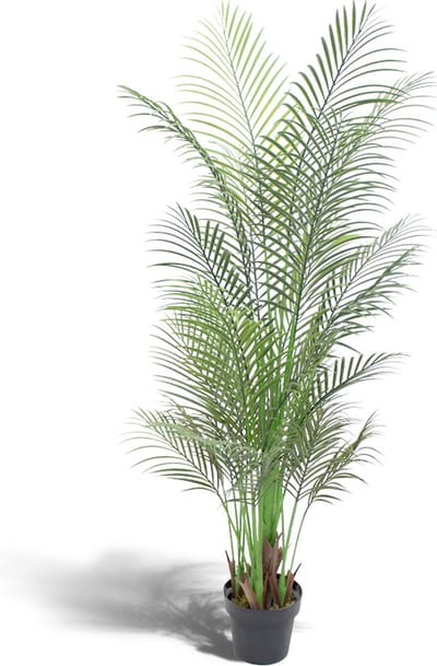 Kunstpalm - Kunstplant in pot - Palmboom – voor binnen en buiten – 160 cm
