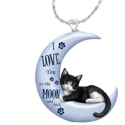 1 Stuks Schattige Cartoon Maan Kat Acryl Hanger Ketting, Geschikt Voor Vakantiecadeaus, Feesten En Alle Seizoenen white