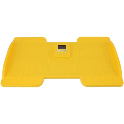Wobbeloefening Balansbord Digitaal Display Timing Sta Bureau Balansbord Oefening Core yellow