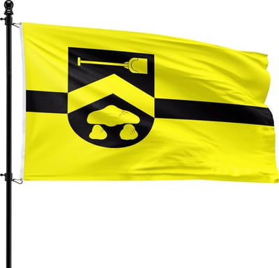 VlagDirect - Borger-Odoorn vlag - Gemeente Borger-Odoorn vlag - 90 x 150 cm.