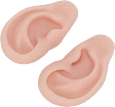 Menselijk Oor Model 1 Paar Herbruikbare Simulatie Handige Oor Model Oorbellen (Medium Huidkleur)