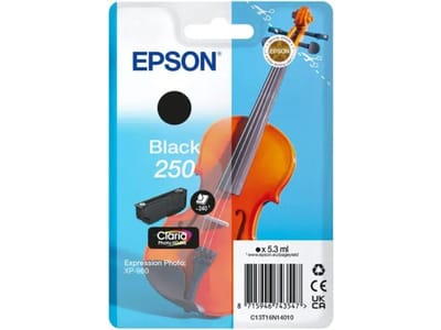 Epson 250 (C13T16N14010) Inktcartridge Zwart