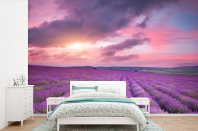 Behang - Fotobehang Lavendel - Paars - Wolken - Bloemen - Breedte 420 cm x hoogte 280 cm