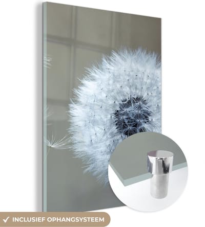 MuchoWow® Glasschilderij 30x40 cm - Schilderij acrylglas - Paardenbloem - Bloem - Plant - Foto op glas - Schilderijen