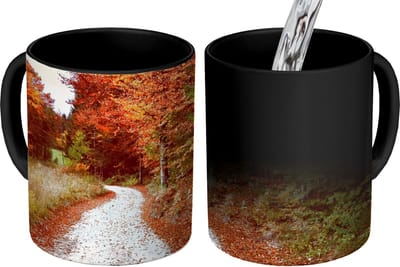 Magische Mok - Foto op Warmte Mokken - Koffiemok - Herfst - Herfstbladeren - Pad - Bos - Magic Mok - Beker - 350 ML - Theemok