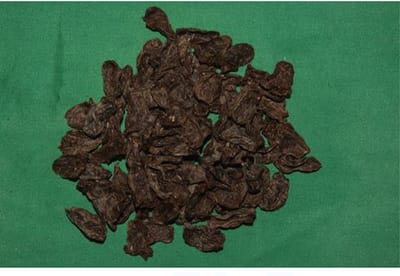 Ropadog hondensnacks - Kippenhart 100 gr -aanvullend diervoer - 100% puur - gedroogd - gezond , lekker en voedzaam. in potje