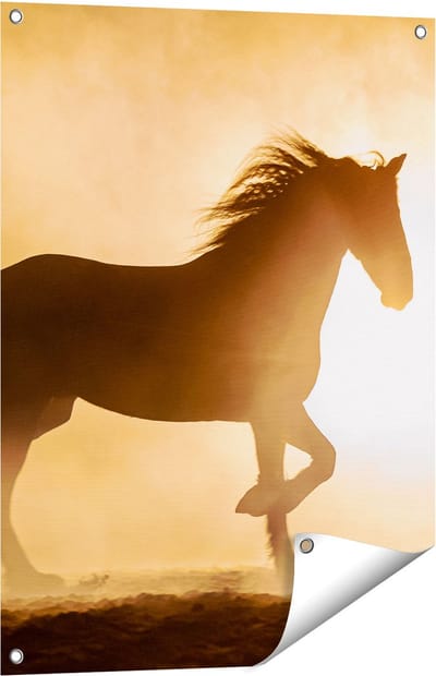 Gards Tuinposter Silhouet van een Paard - 60x80 cm - Tuindoek - Tuindecoratie - Wanddecoratie buiten - Tuinschilderij
