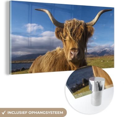 MuchoWow® Glasschilderij 40x20 cm - Schilderij acrylglas - Schotse Hooglander - Dieren - Gras - Foto op glas - Schilderijen
