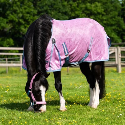 Paardenvliegdekje QHP Rosalynn