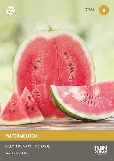Watermeloen Sugar Baby Zaden – ±35 Zaden – Zoete Watermeloen – Citrullus Lanatus – Kleinvruchtig Ras – Voor Kas en Tuin – Moestuin Fruitzaad - Tuin de Bruijn® zaden