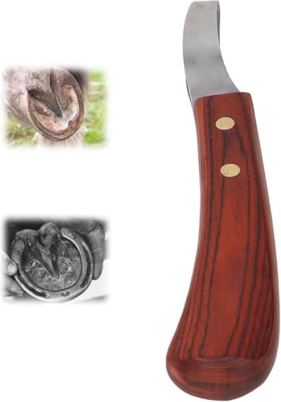 Lusmes Hoefmes Met Houten Handvat - Hoefverzorging Reinigingshulpmiddel - Roestvrij Staal