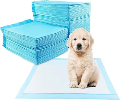 Fousenuk Pipi matten voor honden - 100 stuks trainingspads - aankleedpads - wegwerp onderleggers - 60 x 60 cm - wegwerponderleggers - pinkmat training - lekvrij - 5-laags design - sneldrogend oppervlak