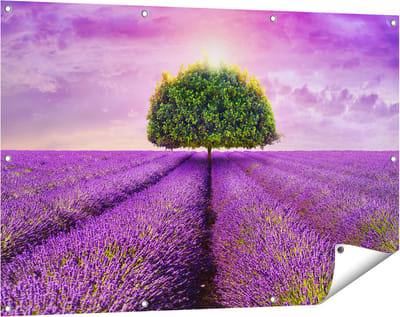 Gards Tuinposter Groene Boom in de Lavendel Bloemen - 120x80 cm - Tuindoek - Tuindecoratie - Wanddecoratie buiten - Tuinschilderij