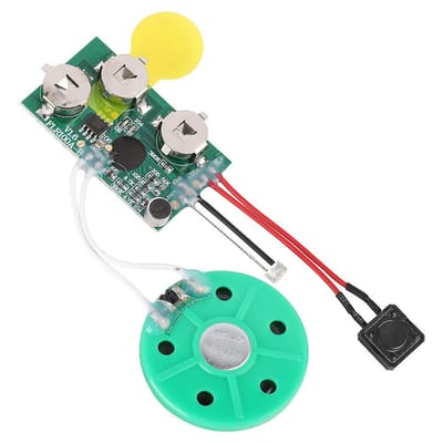 Dailygoods - Geluidsmodule - Stemopname en Afspelen - Ideaal voor Wenskaarten - 60 Seconden Opname - DIY Geluid - Geschikt voor Cadeaus - Compact ontwerp