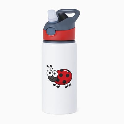 Hacebo® - Lieveheersbeestje waterfles met rietje rood - Insecten - Dieren liefhebbers - Dieren - koekendiefje - water fles - 650ML