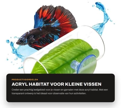 Dailygoods- Vis Habitat Hoogwaardig Acryl - Tunnelvorm - Decoratie voor Betta Vissen - Eenvoudige Installatie - Transparant Ontwerp - Geschikt voor Garnalen - Aquariumdecoratie