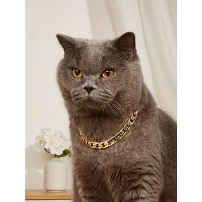 1 stuks Ins Stijl Kat/Hond Multifunctionele Huisdierketting, Minimalistisch & Praktisch M goud