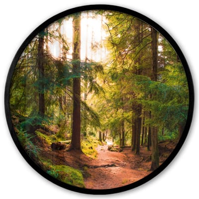 Poster in lijst Rond - Fotolijst 40x40 cm - Posters - Bos - Pad - Bomen - Groen - Zon - Natuur - Ronde posterlijst zwart - Decoratie - Wanddecoratie woonkamer - Muurdecoratie slaapkamer