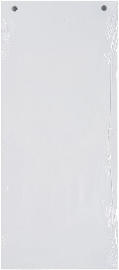 Exacompta 12x FOREVER® Pak van 100 horizontale tabstroken met perforatie 180g - 105x240mm - Wit - 13405B