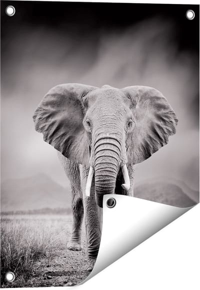 Gards Tuinposter Olifant - Zwart Wit - 40x50 cm - Tuindoek - Tuindecoratie - Wanddecoratie buiten - Tuinschilderij