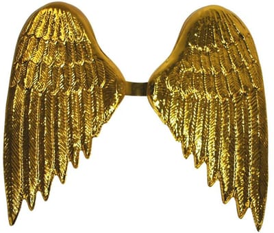 Funny Fashion Engelen verkleed vleugels - goud - voor volwassenen - Carnavalskleding/accessoires
