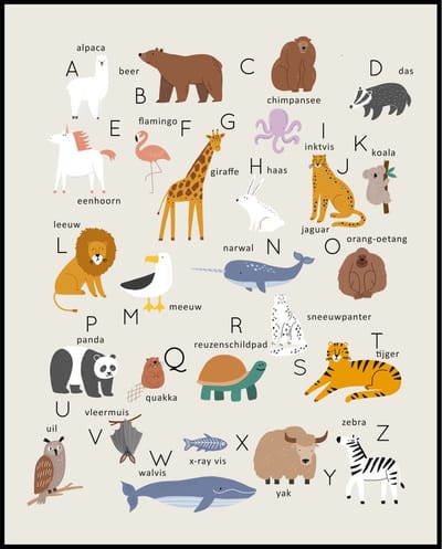 Poster Dierenalfabet - Wanddecoratie Alfabet - Dieren Kinderkamer Unisex - Educatief - 40x50 cm