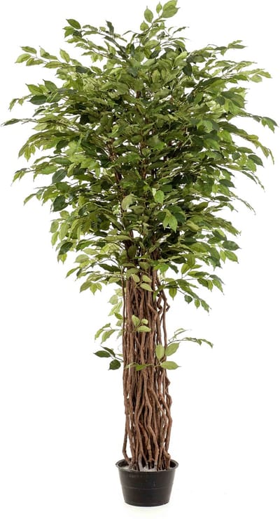 Emerald - Kunstplant Ficus Benjamina Liana Deluxe 205cm - Kunstplant voor binnen