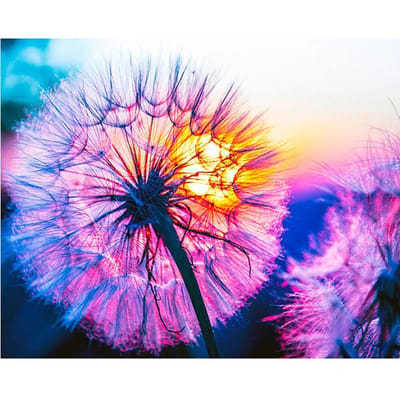 5D DIY Diamond schilderij paardenbloem borduurwerk kruissteek Strass mozaïek Home Decor 30X40CM