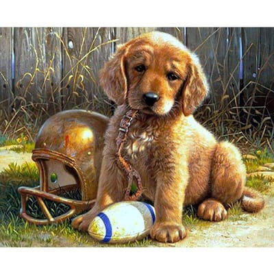 5D Diamant Schilderij Dieren Borduren Kruissteek Hond Foto's van Hars Woondecoratie Schilderen 20X30CM beige
