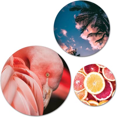 Forex Muurcirkel Set -  Set Flamingo - Set van 3 Wandcirkels met Ophangsystemen - 30x40x50