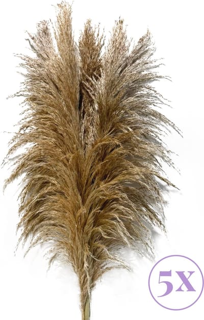 Sunny Tree - Pampas Pluimen - 5 Stuks 105 cm - Droogbloemen - Licht bruin - Decoratie Woonkamer - Decoratieve Accessoires