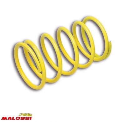 Ressort d embrayage Malossi pour Scooter Yamaha 300 Versity Neuf