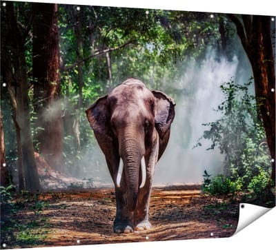 Gards Tuinposter Olifant in het Bos - 160x120 cm - Tuindoek - Tuindecoratie - Wanddecoratie buiten - Tuinschilderij