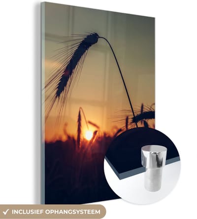 MuchoWow® Glasschilderij 30x40 cm - Schilderij acrylglas - Gras - Herfst - Zonsondergang - Seizoenen - Landschap - Foto op glas - Schilderijen